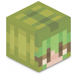 Eenza's Minecraft avatar