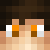 FireGamerFTW
