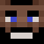 __MineLife__