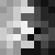 Anima_Codey