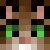 Tyler1734