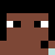 FixedLizard9