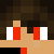 endersins