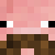 TM_SpigRacer