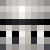 Yung_Opossum