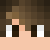 Dashner3