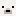 16.png