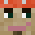 sandytuck