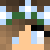 zebraswag1234