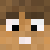 SBTPvP