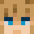 Link798