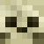 Skeletten