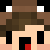 PVP_william