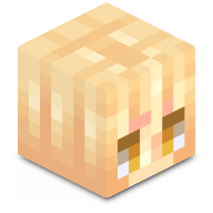 jcraft2009