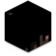 r4E