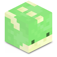 Casus99
