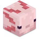 Slymayer