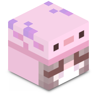 nietak