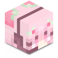 Jamie_Kuiper
