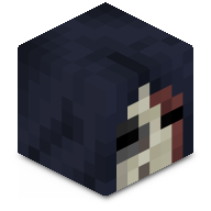 VisionXXJ