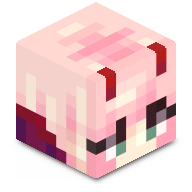 NewTimes_