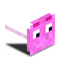 Gesichts