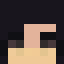 Destinsy skin