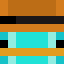 Player skin