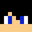 Player skin