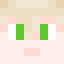 Player skin