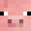 Player skin