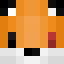 Player skin