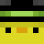 Player skin