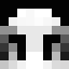 Player skin