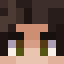 Player skin
