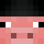 Player skin