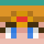 Player skin