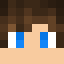 Player skin
