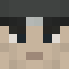 Player skin