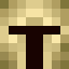Player skin