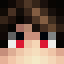 Player skin