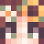 Player skin