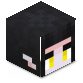 EATB's Minecraft avatar