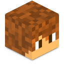 Skin minecraft