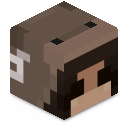 Skin minecraft