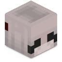 Skin minecraft