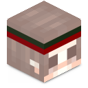 Skin minecraft