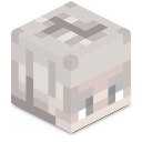 Skin minecraft
