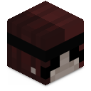 Skin minecraft
