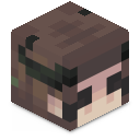 Skin minecraft